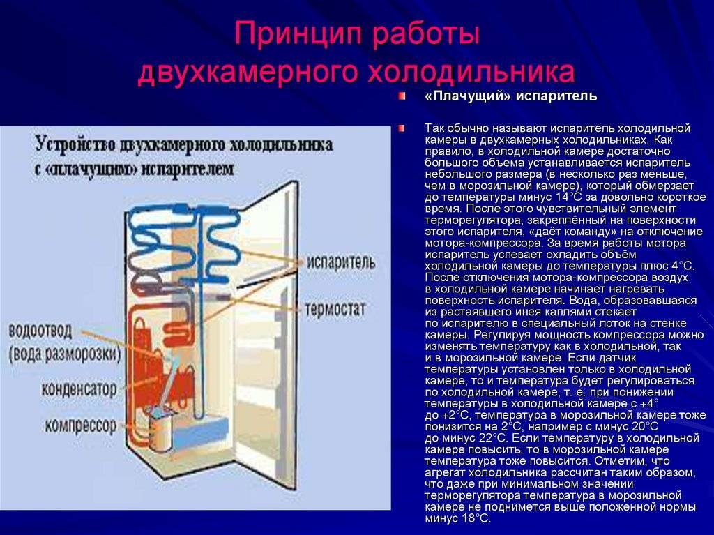 Высота холодильника: стандартная встроенного, двухдверного, двухкамерного, какая бывает максимальная и средняя у индезит, бош, самсунг, атлант, бирюса