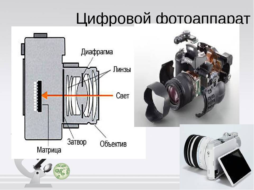 Что такое диафрагма и как ей пользоваться
