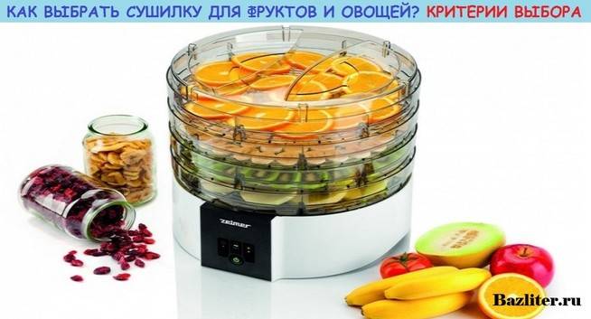 19 лучших сушилок для овощей и фруктов – рейтинг 2021 года